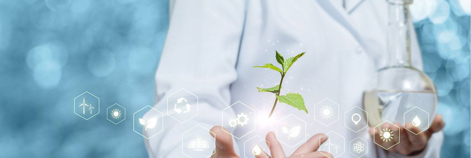 A person in white lab caot holding a green flower stem.